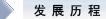 发展历程